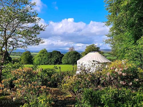 Lawn Yurt