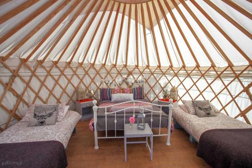 1119thumb_stylish_design_in_the_yurt