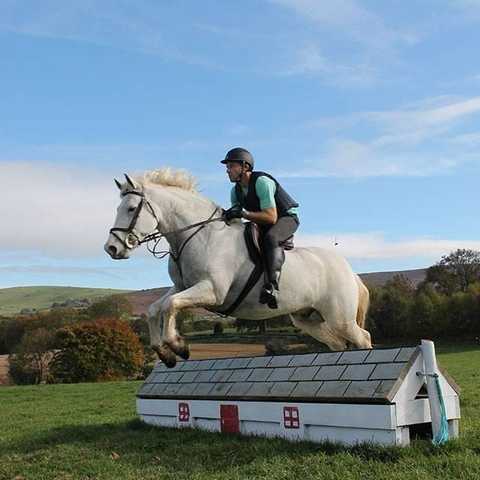 A horse rider doing the training with the horse